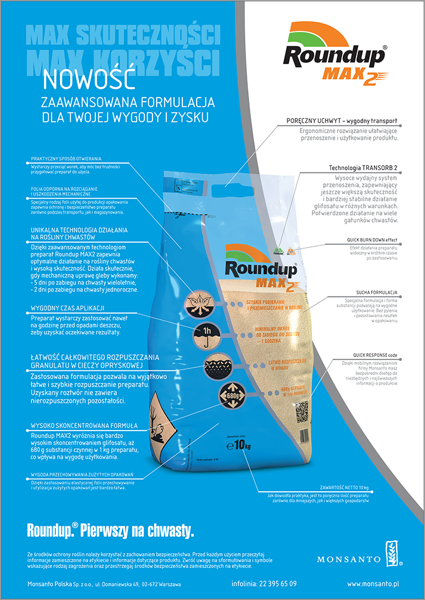 Grafika 4